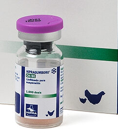 CV Hipra Gumboro CH/80 1000D x 1 Vial
