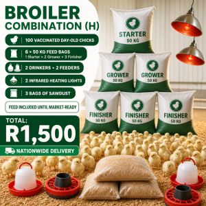 Broiler Chickens Combos - H