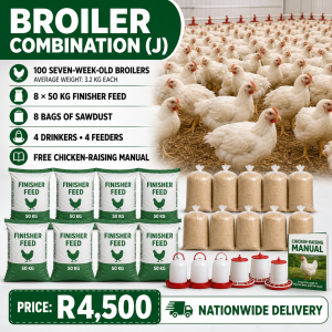 Broiler Chickens Combos - J