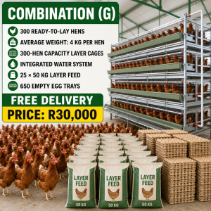 Layer Chickens Combos - G