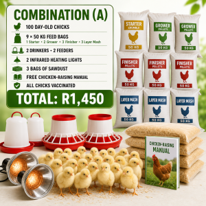 layer-chickens-combos